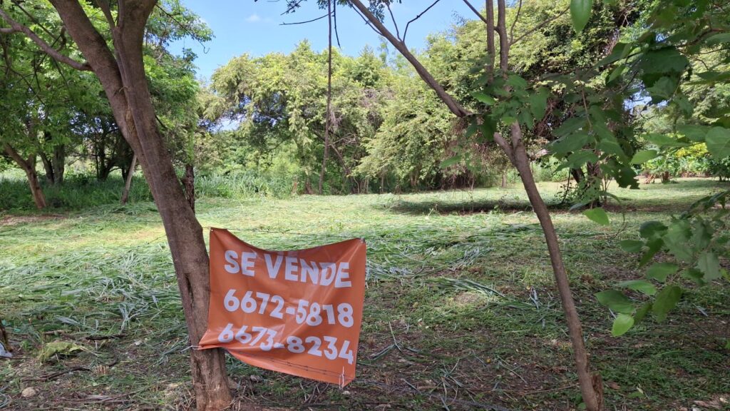 Lote 217-1B