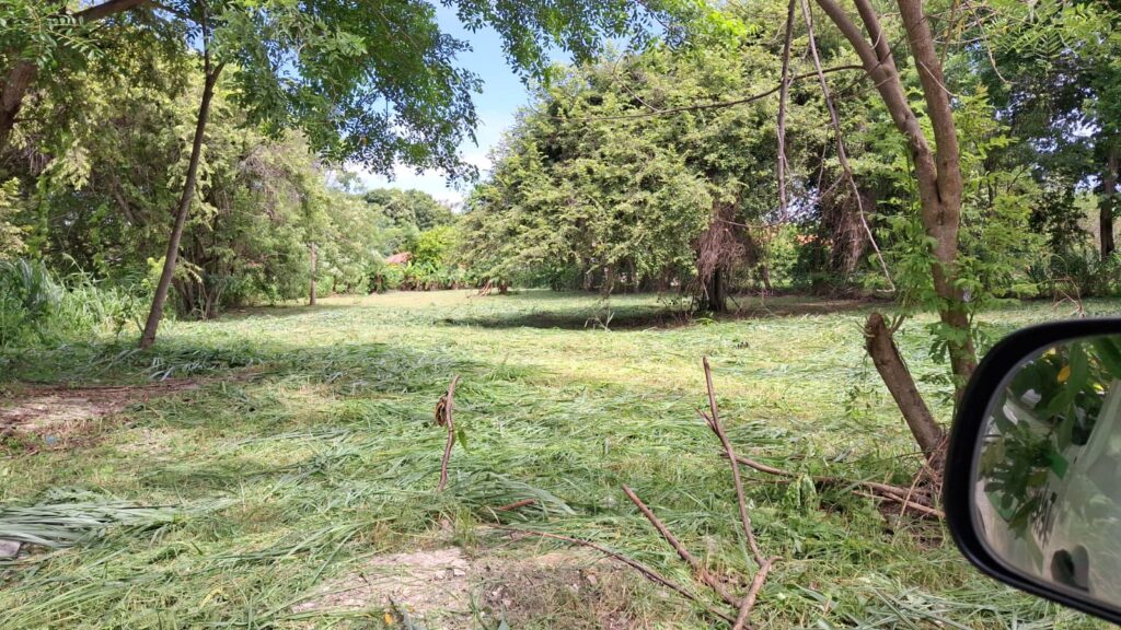 Lote 217 -2B